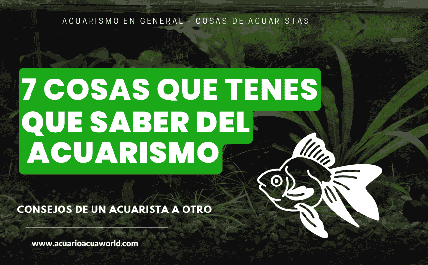 Lo que tenés que saber antes de empezar en el acuarismo